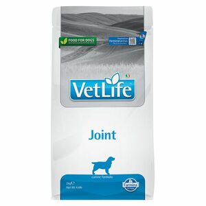 VET LIFE Natural Joint granule pro psy, Hmotnost balení: 2 kg obraz