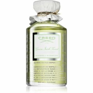 Creed Green Irish Tweed parfémovaná voda pro muže 250 ml obraz