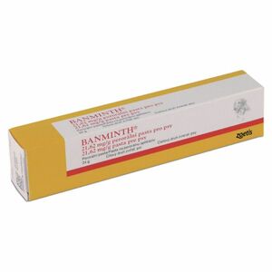 BANMINTH 21, 62 mg/g perorální pasta pro psy 24 g obraz