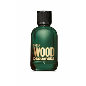 DSQUARED2 Wood Green toaletní voda pro muže 100 ml obraz