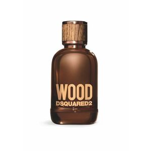 DSQUARED2 Wood pour Homme toaletní voda pro muže 100 ml obraz