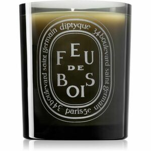 Diptyque Feu de Bois vonná svíčka (Dark) 300 ml obraz