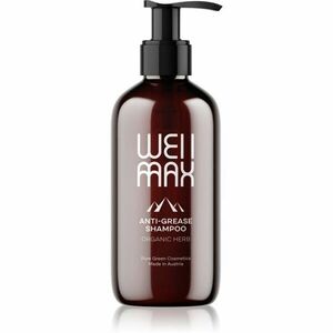WellMax Šampon pro mastné vlasy bylinný šampon 250 ml obraz