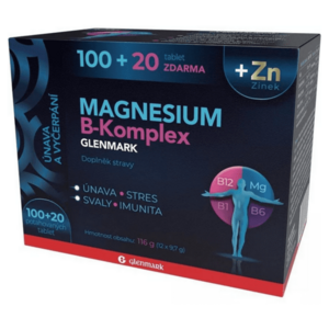 GLENMARK Magnesium B-komplex 100 + 20 tablet obraz
