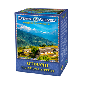 EVEREST AYURVEDA Guduchi zažívání a chuť k jídlu sypaný čaj 100 g obraz