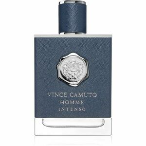 Vince Camuto Homme Intenso parfémovaná voda pro muže 100 ml obraz