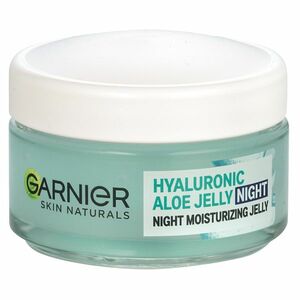 GARNIER Skin Naturals Pleťový noční gel Hyaluronic Aloe 50 ml obraz