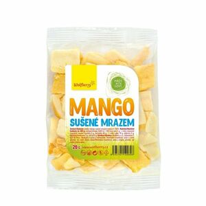 Wolfberry Mango lyofilizované 20 g obraz