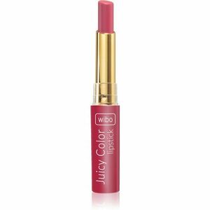 Wibo Lipstick Juicy Colour krémová hydratační rtěnka 2 v 1 04 1, 4 g obraz