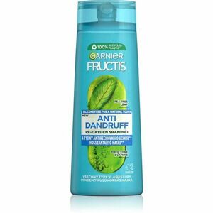 Garnier Fructis Antidandruff šampon proti lupům pro všechny typy vlasů 250 ml obraz