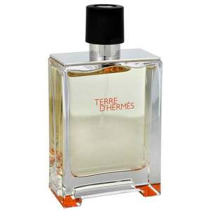 Hermes Terre D´ Hermes - EDT TESTER 100 ml obraz