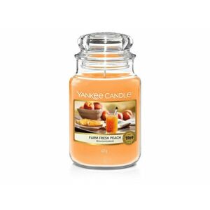 Yankee Candle Aromatická svíčka Classic velká Farm Fresh Peach 623 g obraz