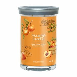 Yankee Candle Aromatická svíčka Signature tumbler velký Farm Fresh Peach 567 g obraz