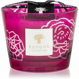Baobab Collection Collectible Roses Burgundy vonná svíčka 10 cm obraz