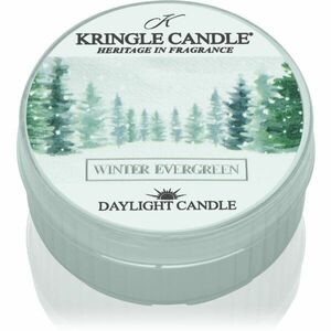 Kringle Candle Winter Evergreen čajová svíčka 42 g obraz