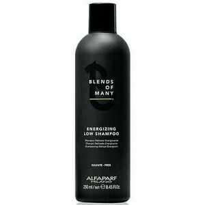 Alfaparf Milano Energizující šampon proti vypadávání vlasů Blends of Many (Energizing Low Shampoo) 250 ml obraz