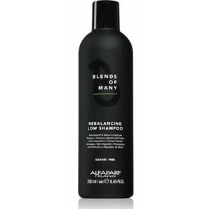 Alfaparf Milano Šampon proti lupům Blends of Many (Rebalancing Low Shampoo) 250 ml obraz
