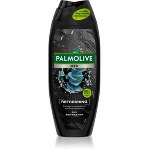Palmolive Men Refreshing sprchový gel pro muže 2 v 1 500 ml obraz