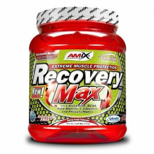 Recovery Max - Amix 575 g Fruit Punch obraz
