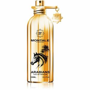 Montale Arabians parfémovaná voda unisex 100 ml obraz