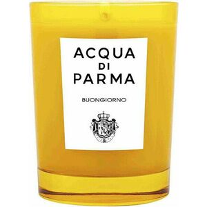 Acqua Di Parma Buongiorno - svíčka 500 g obraz