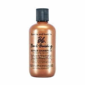 Bumble and bumble Šampon pro poškozené vlasy Bond-Building (Repair Shampoo) 60 ml obraz