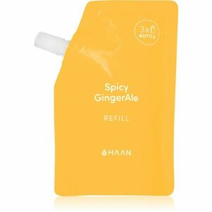 HAAN Hand Care Spicy GingerAle čisticí sprej na ruce s antibakteriální přísadou náhradní náplň 100 ml obraz