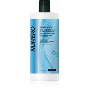 Brelil Professional Elasticizing & Frizz-Free Shampoo šampon na vlnité vlasy 1000 ml obraz