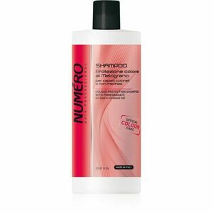 Brelil Professional Colour Protection Shampoo šampon pro barvené vlasy 1000 ml obraz