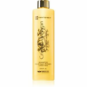 Brelil Numéro Cristalli di Argan Shampoo hydratační šampon pro lesk a hebkost vlasů 250 ml obraz