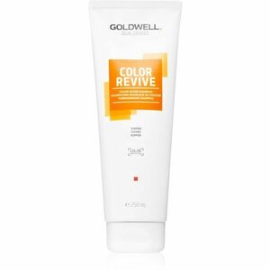 Goldwell Dualsenses Color Revive šampon pro zvýraznění barvy vlasů odstín Copper 250 ml obraz