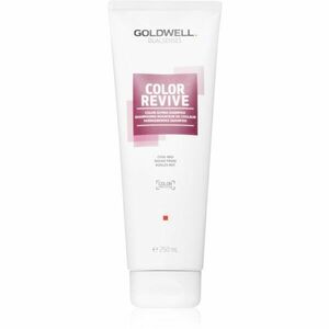 Goldwell Dualsenses Color Revive šampon pro zvýraznění barvy vlasů odstín Cool Red 250 ml obraz