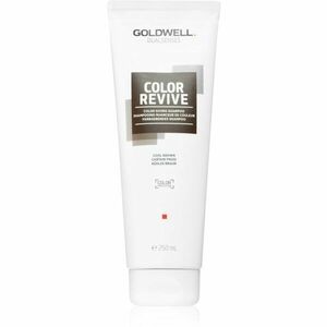 Goldwell Dualsenses Color Revive šampon pro zvýraznění barvy vlasů odstín Cool Brown 250 ml obraz
