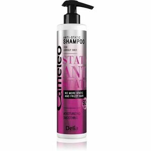 Delia Cosmetics Cameleo Anti Static vyhlazující šampon 250 ml obraz