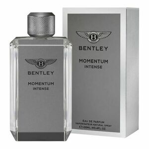 Bentley Momentum Intense - EDP 100 ml obraz