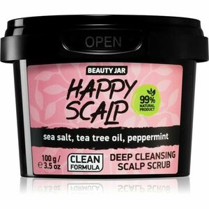 Beauty Jar Happy Scalp čisticí peeling pro mastnou pokožku hlavy 100 g obraz