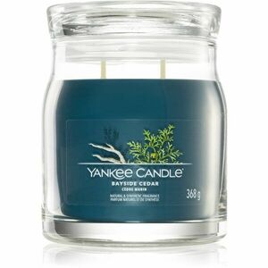Yankee Candle Bayside Cedar vonná svíčka I. 368 g obraz