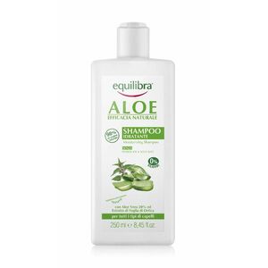 Equilibra Aloe Moisturizing Shampoo hydratační šampon 250 ml obraz