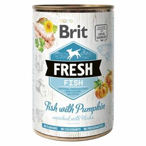 BRIT Fresh Fish with Pumpkin konzerva pro psy 400 g obraz