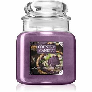 Country Candle Coconut & Blueberry Tart vonná svíčka 453 g obraz