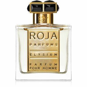 Roja Parfums Elysium parfém pro muže 50 ml obraz