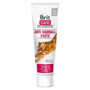 BRIT Care Paste Antihairball with Taurine proti chlupovým chomáčkům pro kočky 100 g obraz