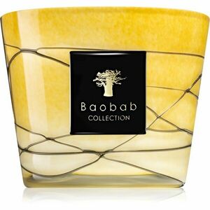 Baobab Collection Filo Oro vonná svíčka 10 cm obraz