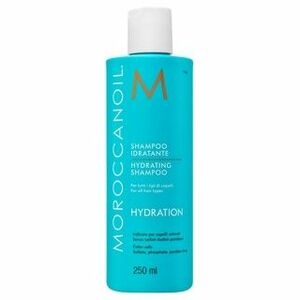 Moroccanoil Hydration Hydrating Shampoo šampon pro suché vlasy 250 ml obraz