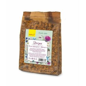 Wolfberry Divizna bylinný čaj sypaný 50 g obraz
