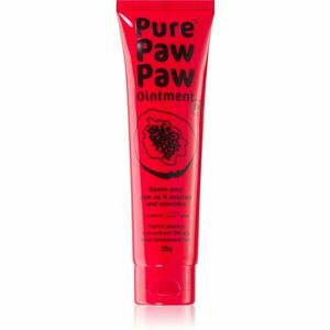Pure Paw Paw Ointment balzám na rty a suchá místa 25 g obraz