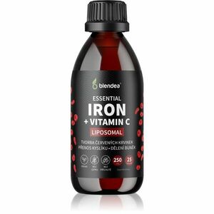 Blendea Iron + Vitamin C koncentrát pro normální tvorbu červených krvinek a hemoglobinu 250 ml obraz