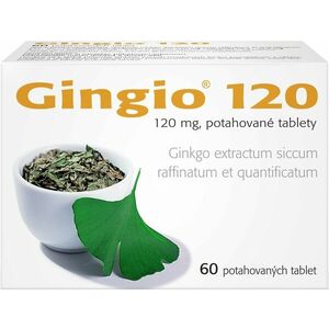Gingio 120 mg 120 tablet obraz