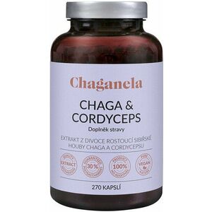 Chaganela Extrakt čagy s cordycepsem 270 kapslí obraz