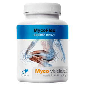 MycoMedica MycoFlex 90 kapslí obraz